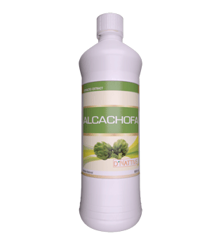alcachofa
