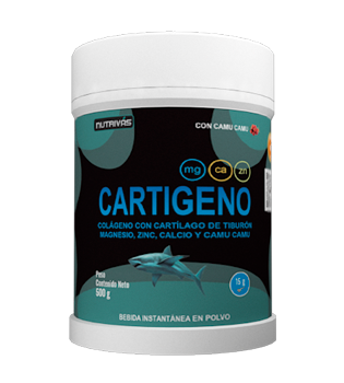 cartilago