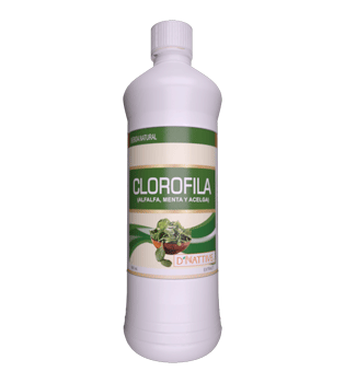 clorofila