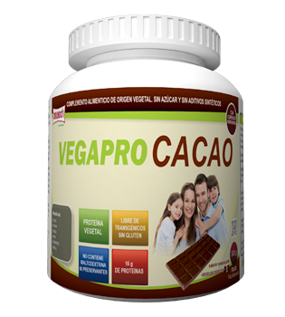 vegapro