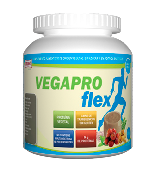 vegaflex